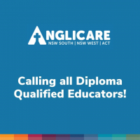 Diploma Qualified Educators (or working towards)